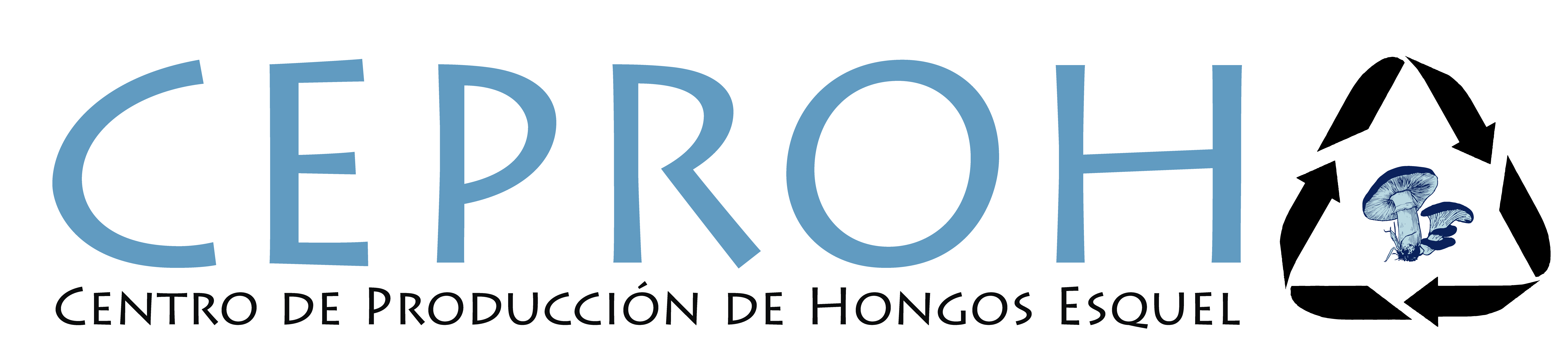 CEPROH%20logo