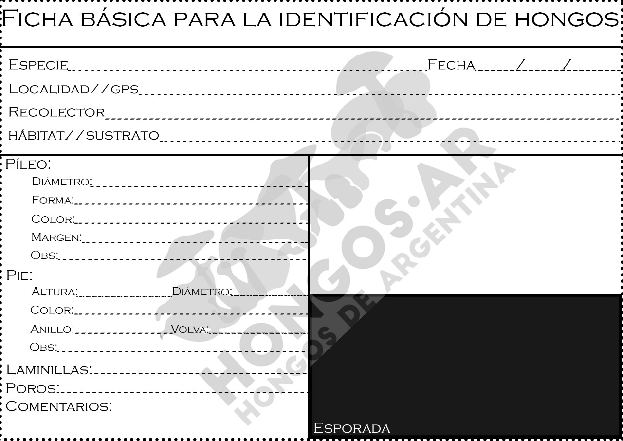 Ficha%20basica%20para%20la%20identificacion%20de%20hongos%20 %20HongosAR