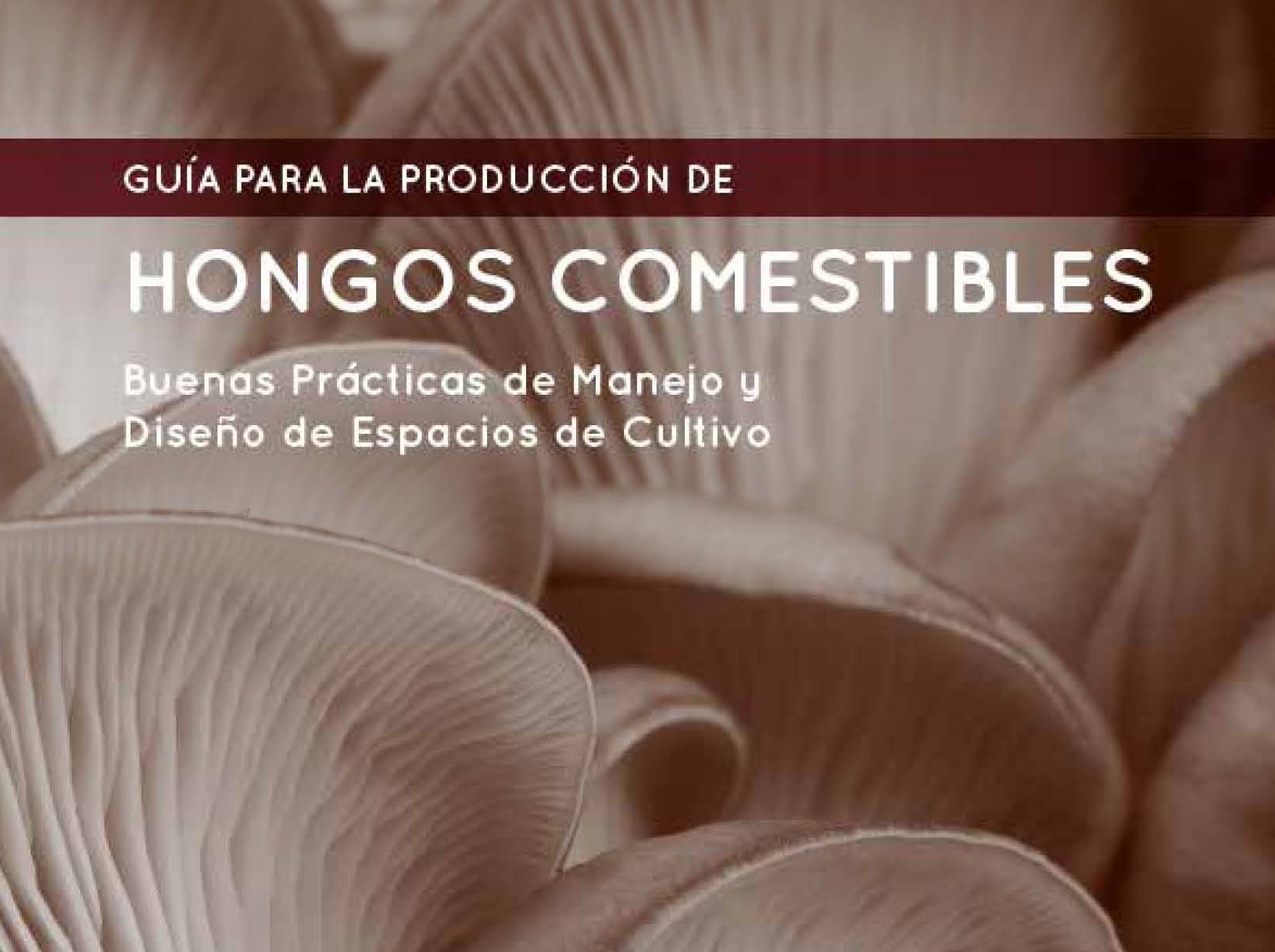 GU%C3%8DA%20PARA%20LA%20PRODUCCI%C3%93N%20DE%20HONGOS%20COMESTIBLES.%20IMiBio%20 %20header