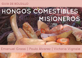 Hongos comestibles misioneros guia de bolsillo teaser