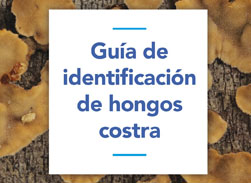 Guia hongos costra teaser