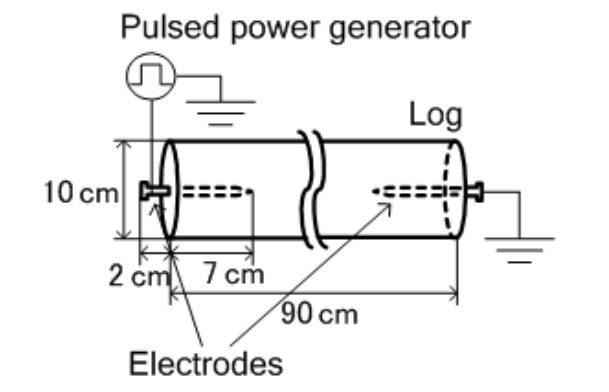 Elecrodos