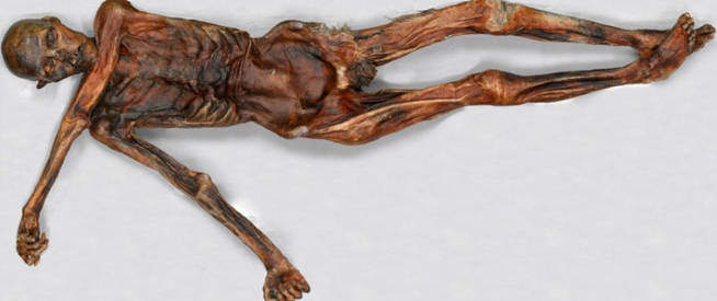 Otzi3